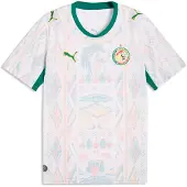 Puma Tricot 'Senegal 2026' hemelsblauw / grasgroen / rosa / wit