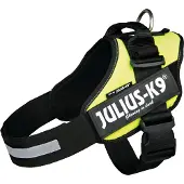 Julius-K9 IDC Powertuig - Hondentuig - L - Maat 1 - Neon