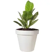 Ecken & Kanten Bloempot | | Ø 25 cm