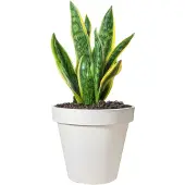 Ecken & Kanten Bloempot | | Ø 30 cm