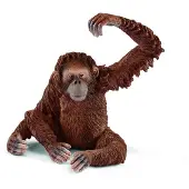 Schleich WILD LIFE - Orang-oetanvrouwtje - Speelfiguur - Kinderspeelgoed voor Jongens en Meisjes - 3 tot 8 jaar - 14775