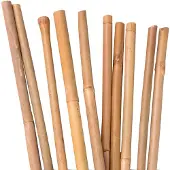 UNUS Bamboestokken, tonkinstokken, plantensteunen 105 cm, 100 stuks