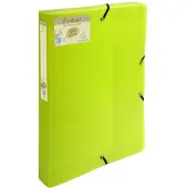 Exacompta Archiefdoos 553573E Groen Polypropyleen 25 x 33 cm 8 Stuks