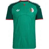 Adidas Tricot 'Algeria 26 Away Authentic' groen / donkergroen
