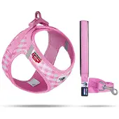 Curli Vest Harness Air-Mesh & Leash Puppy Set