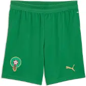 Puma Sportbroek 'Marokko' grasgroen
