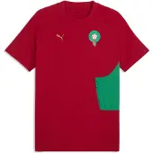 Puma Functioneel shirt 'Marokko' lichtgroen / donkerrood