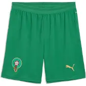 Puma Sportbroek 'Marokko' geel / groen