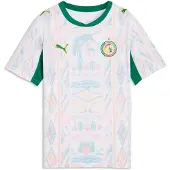 Puma Functioneel shirt 'Senegal 2026' geel / groen / rood / wit