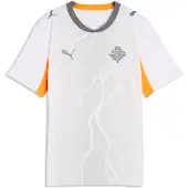 Puma Functioneel shirt antraciet / oranje / wit