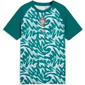 Puma Functioneel shirt 'Portugal' lichtblauw / petrol