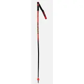 Rossignol Hero Gs-sg Stokken