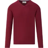 The BLUEPRINT Premium V-neck sweater