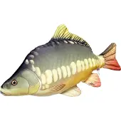 Gaby The Carp Medium Pillow Groen