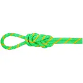 Mammut - 8.0 Alpine Dry Rope - Halftouw 70 m, groen