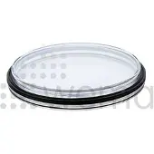 Wema Instrument Glass Spare Part Transparant 85 mm