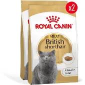 Royal Canin British Shorthair Adult - Kattenvoer
