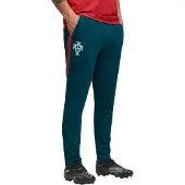 Puma Portugal Trainingsbroek 2026-2028 Blauwgroen Wit