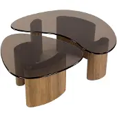 AnLi Style Salontafel Tinto organisch set/2