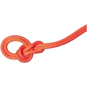 Mammut 9.8 Mm Crag Dry 60 M Touw