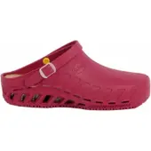 Scholl Klomp Unisex Evo Wine-Schoenmaat 46