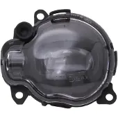 Diederichs 7455188 Mistlamp