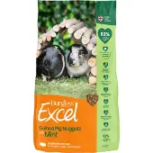Burgess - Excel Guinea Pig Nuggets with Mint 9kg