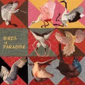Konkurrent Thomas Dollbaum - Birds Of Paradise (LP) (Coloured Vinyl)