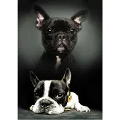 Procos fleece deken Honden - 100 x 140 cm