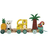Janod Train Veelkleurig Kinderen
