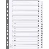 Exacompta 15x Bedrukte tabbladen karton 160g - geplastificeerde tabs - 20 tabs - 1 tot 20 - A4 - Wit - MWD1-20Z