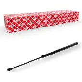 FEBI BILSTEIN 174980 Gasveer achterklep