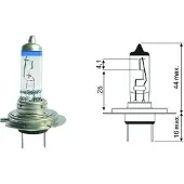 Diederichs LID10063 Gloeilamp, koplamp