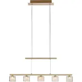 Paul Neuhaus 5-lichts hanglamp Hydra messing