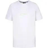 Petrol Industries Shirt 'Bayleaf' groen / wit