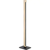 Eglo Led vloerlamp Camacho