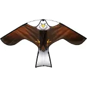 Biotop Havik Vlieger Vogel En Knaagdier Afschrikker 4 M