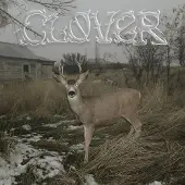 V2 Red Eye Clover