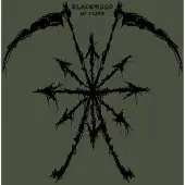 Coast2Coast Blackwood - Of Flies (LP)