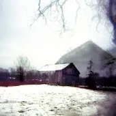 V2 Red Eye House With No Home