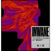 Bigwax Dis Cnt Echt! - Inwane (LP)