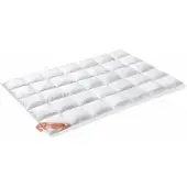 Vandyck All Year Dekbed Excellent 650 95% Ganzendons-240 x 200 cm