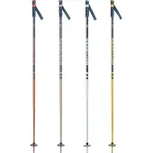 Rossignol Stove Stokken 20 Paren