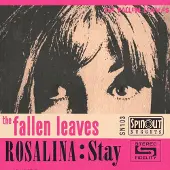 Coast2Coast Fallen Leaves - Rosalina/Stay (7" Single)