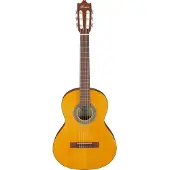 Ibanez Ga2-Oam Amber