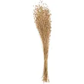 J-Line decoratie tak Linnen Droogbloemen - riet - goud