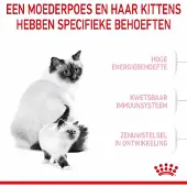 Royal Canin 4x Mother & Babycat Kattenvoer 4 kg