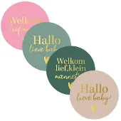 Kassaplan Stickers Hallo Lieve Baby Ø40mm 250st Verschillende verschillende Papier