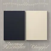 Import DREAMY RESONANCE