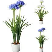 Basics Agapanthus 50x80cm Kunstplant Geassorteerd